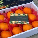 새천년농장 이미지