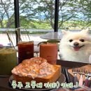 엔제리너스충주성서점 | 충주 카페 제이:) 애견동반 가능 토마토주스 허니브래드 솔직후기
