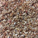 현미약품 이미지