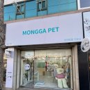 몽가펫 | 경산애견미용, 몽가펫에서 우리 강아지 미용 &amp; 목욕 후기! 🐶💖