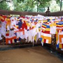 보드가야(BODHGAYA) 이미지