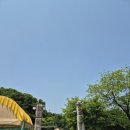 서울근교 가족 캠핑 l 짱아캠핑장 1박2일 솔직 후기 (아이들 모래놀이터,방방이 있음)