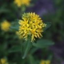 대성사슴농장 이미지