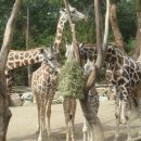 에버랜드 동물병원 이미지