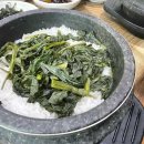 올바름고기왕