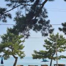 GS25 연안해변 | 완도 명사십리해수욕장 반려견과의 평일 산책 후기
