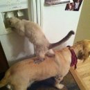 나도나도 이미지