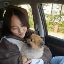 커피베이안산두손