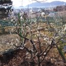 안민고개길 이미지