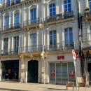 산책하는날 이미지