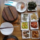 마량밤바다 | 동생과 남도 6. 간편식 캠핑이 최고