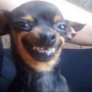 올리브학원 이미지