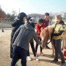 창진농장 이미지