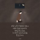 데일리레코드(daily record) 이미지