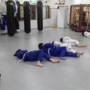 아리랑유도체육관 이미지