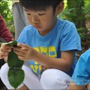 으뜸유치원 이미지