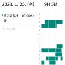 [100일 챌린지 +15일] 놀이이론 라이브 수강 및 숙제하기 이미지