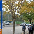 비슬산둘레길 4구간 | 비슬산둘레길 4구간/석새미송림길 도보 이야기