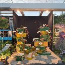 경기꽃화훼 이미지