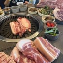 심쿵돼지 이미지