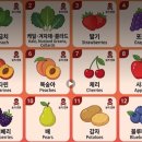 '식물 독소(Plant Toxins)' 이미지