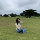 ㈜오케이그린청소년수련원 | 경주 화랑의언덕 후기. 경주드라이브, 경주데이트, 경주여행, 경주가볼만한곳 #블챌14