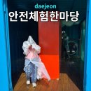 태풍태권도 | safe 대전 안전체험한마당 제9회 아이랑 체험후기 꿀팁