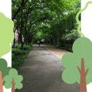 서울올곧은치과의원 이미지