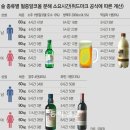 알콜 티스토리