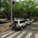 청솔(171) 이미지