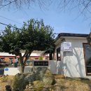 이모네 해물파전 | 제주 금능 맛집 금능이모네 보말칼국수 해물파전 문어죽 솔직후기