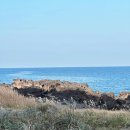 오션스테이호텔 이미지