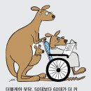 더블케어 이미지