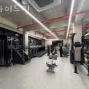 프라이드핏 이미지