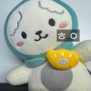 야 류양양 생일축하한다 (생카&amp; 생파 후기)