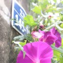 천주농장 이미지