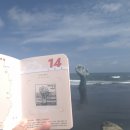 포항해파랑맛집 이미지