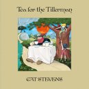 Cat Stevens - Sad Lisa 이미지