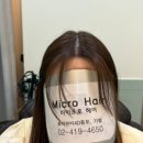 마이크로헤어증모 이미지