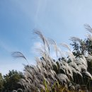 바다향기수목원(도서식물원) 이미지