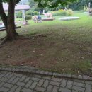 인천영종초등학교금산분교 네이버블로그