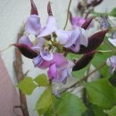 원광대학교 한의과대학 광주한방병원 이미지