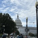 그린DC마트 | [뉴욕] 8박 9일 동생과 뉴욕여행 5일차 - 워싱턴 D.C 여행