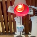 맥스웰의원 | [서울 강남] 맥스웰 피부과의원 강남점 / 여성 탈모 관리 10회차 후기 머리야 자라라🌱🌱