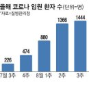 정점 이미지