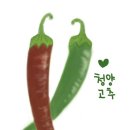 자연고추식품