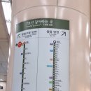 [서울 꽃집 대림역]이슬향기플라워 이슬꽃 디퓨저로 기분 전환하기