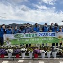 국화꽃향기 이미지