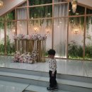 장안웃길 | 평택 국제웨딩컨벤션 팰리스홀 하객 후기(주차, 예식장, 식사)