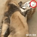 송국농장 이미지